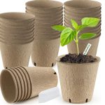 Macetero Biodegradable 10 unidades