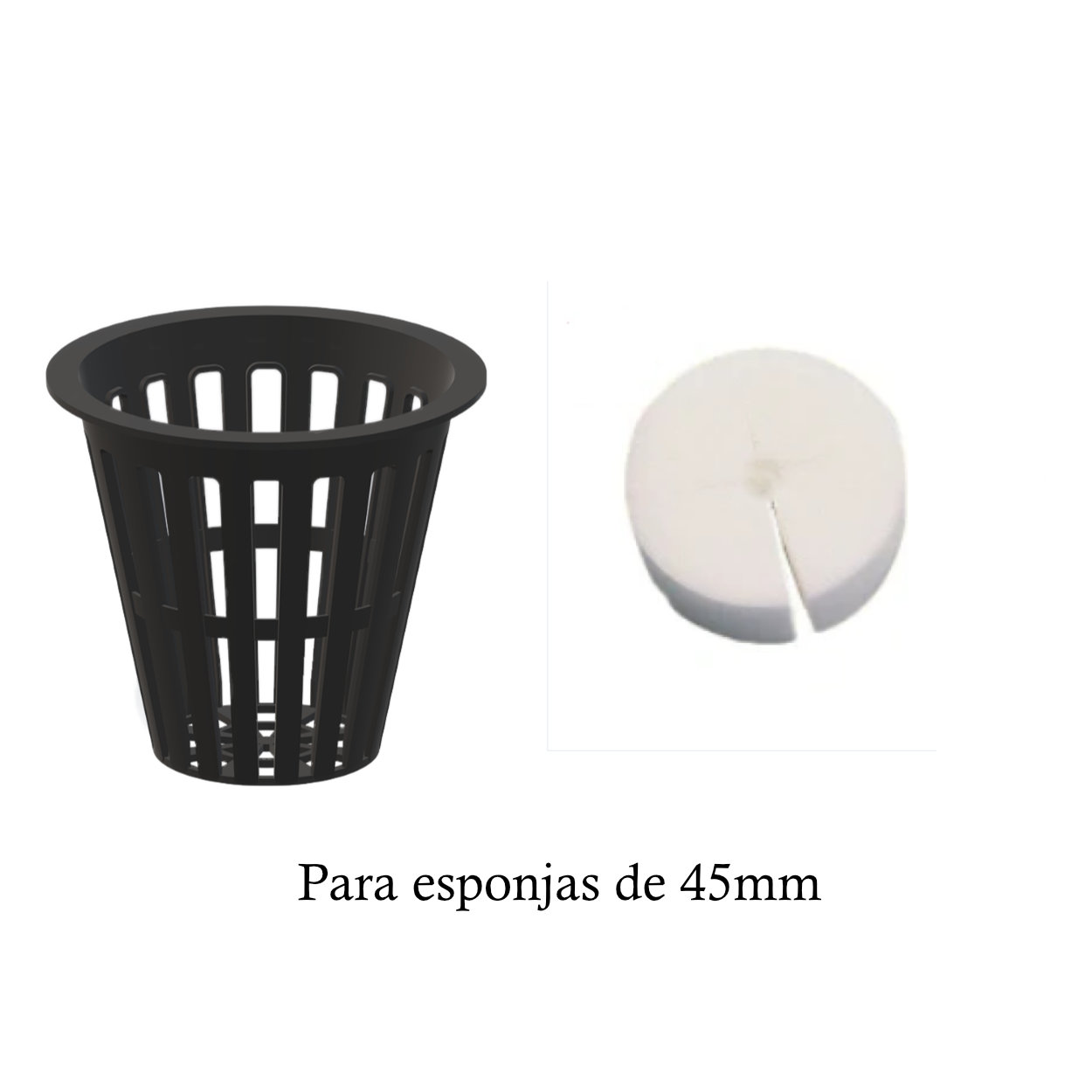 cesto_esponja_45mm_2 Cestos Hidropónicos + Esponja 20 unidades - Imagen 1